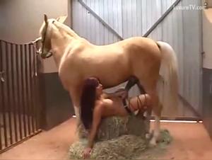Watch Sex Scenes with Horses and Humans