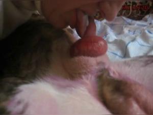 Bestiality sex video with dog