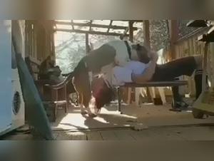 Hard Fuck Scenes with a Dog