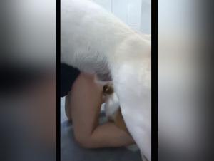 Abbracci mortali: dominio canino