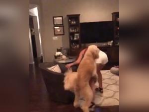 Sex Videos Bestiality Extreme Zoophilia