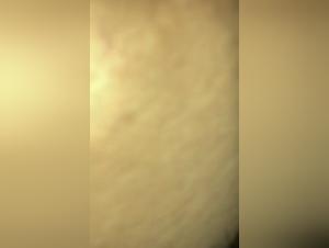 Bestiality Sex Video with a Dog