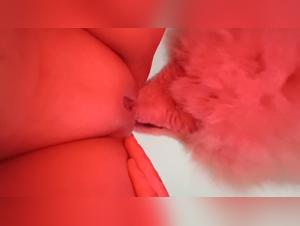 Dog Licking Scene