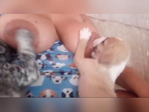 Dogporn and Ethical Boundaries